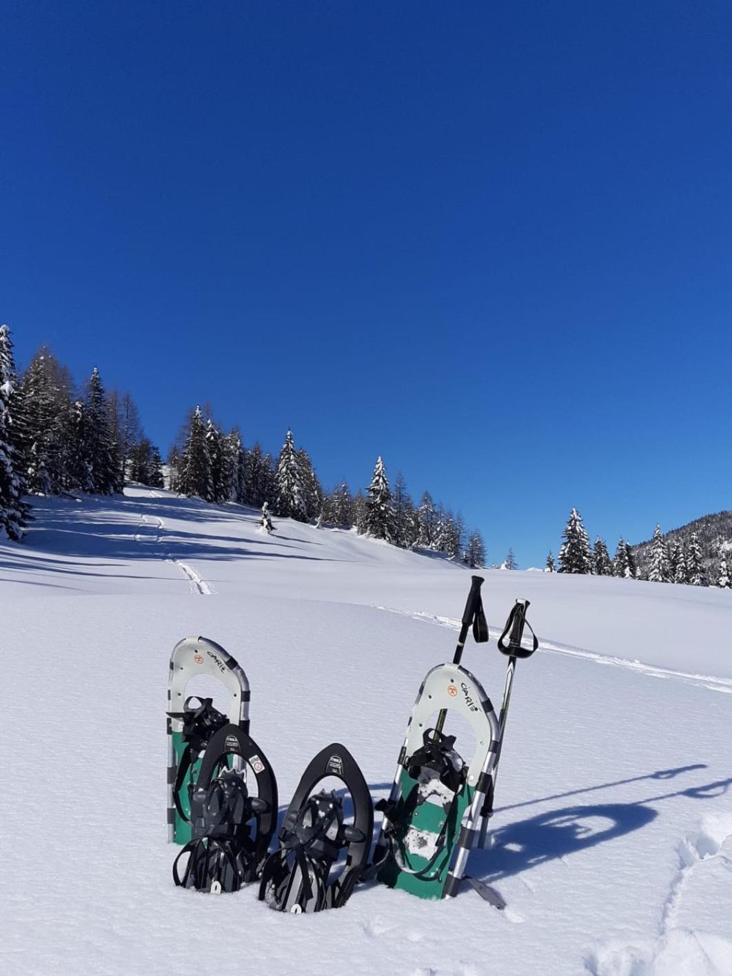 Appartamenti Al Ciarie Cima Gogna Exterior foto